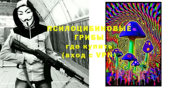 a pvp Новозыбков