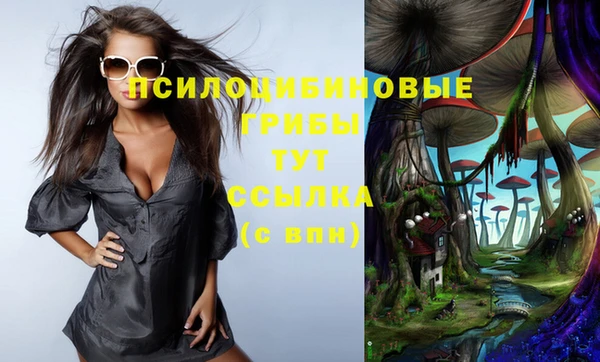 a pvp Новозыбков