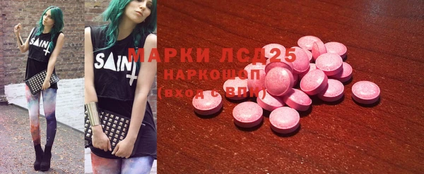 a pvp Новозыбков