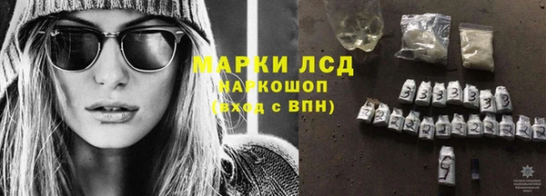 a pvp Новозыбков